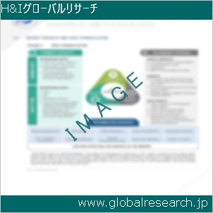 グローバルリサーチ調査レポートのイメージ
